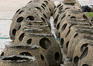 Photo of two rows of concrete reef balls.