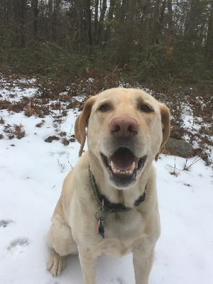 Eleanor on a hike in PA