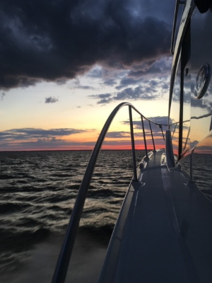 Sunset on Bay Dog