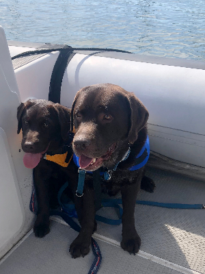 Angus and Malcolm on the Bay in 2019