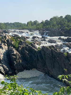 Great Falls Summer 2019