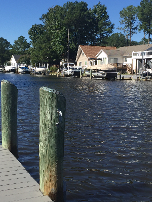 On the dock, Ocean Pines, MD (photo R Bullman)