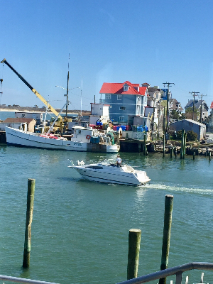 West Ocean City Water Activity (WRB)