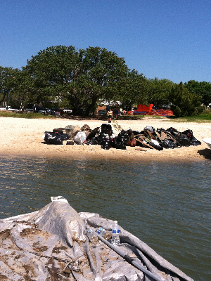 This was part of our last haul of debris we cleaned up from Monkey Bottom along the shore of Willoughby Spit