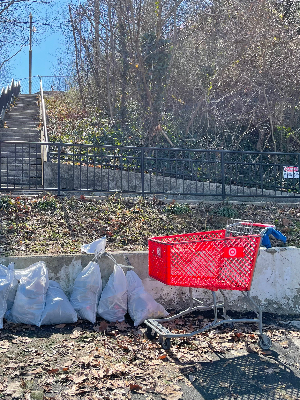 Group trash pickup