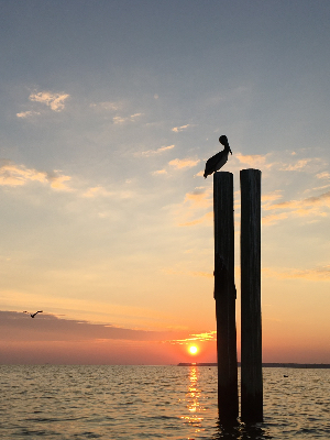 Early morning on the Nansemond River