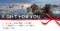 Giving Catalog eCard: Oyster Habitat