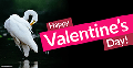 a_Donation eCard: Valentine's Day