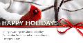 Donation eCard 20: Happy Holidays - Cardinal