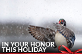 Donation eCard 20 - Resend: In Your Honor This Holiday - Duck