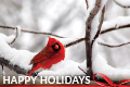 Donation eCard 20 - Resend: Happy Holidays - Cardinal